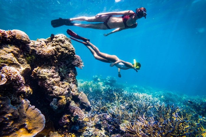 인도네시아 아야나 코모도 와에치쿠 비...