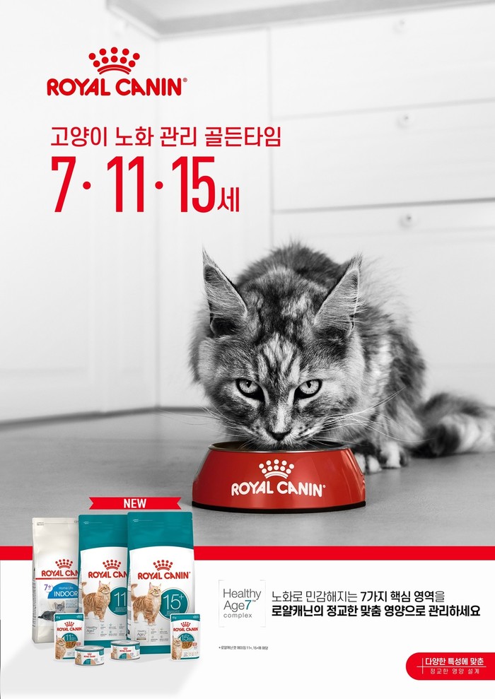 로얄캐닌, 반려묘 건강한 노화 위한 ...